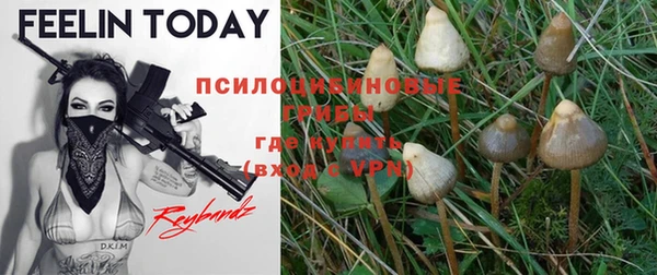 круглые Новозыбков