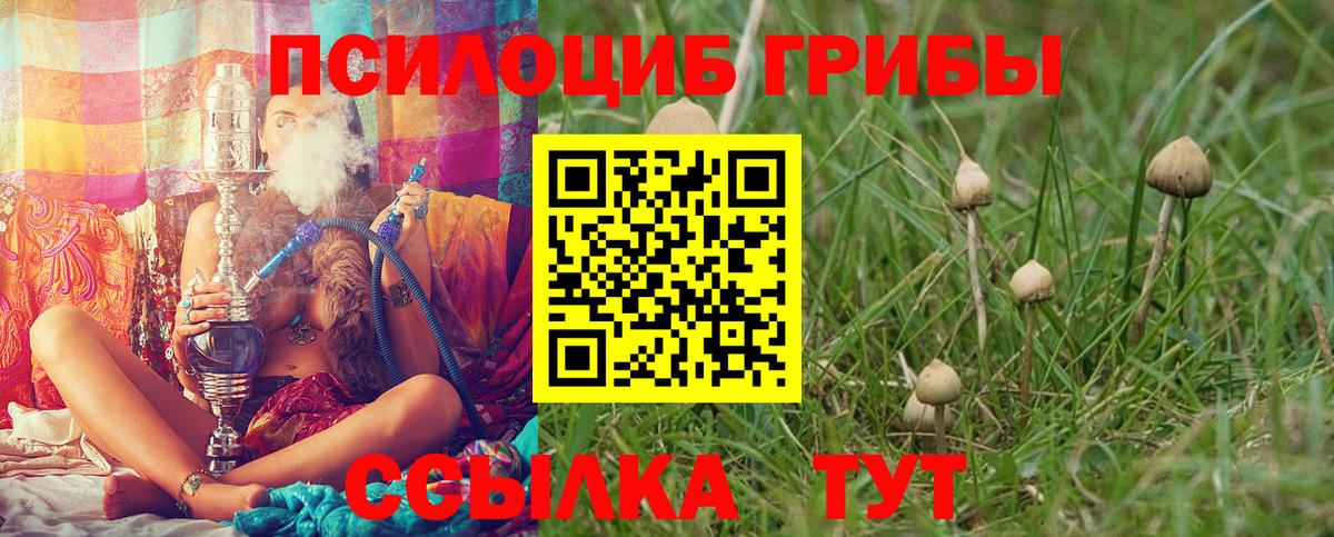 Псилоцибиновые грибы GOLDEN TEACHER Ярославль
