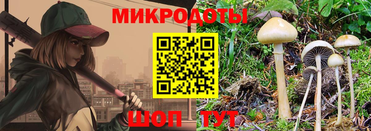 Галлюциногенные грибы ЛСД  Псилоцибиновые грибы мухоморы  Вход с VPN  Ярославль 